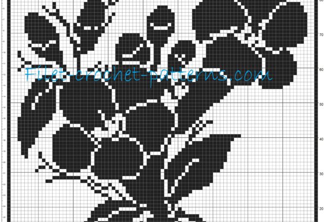 Curtain gentians filet crochet pattern